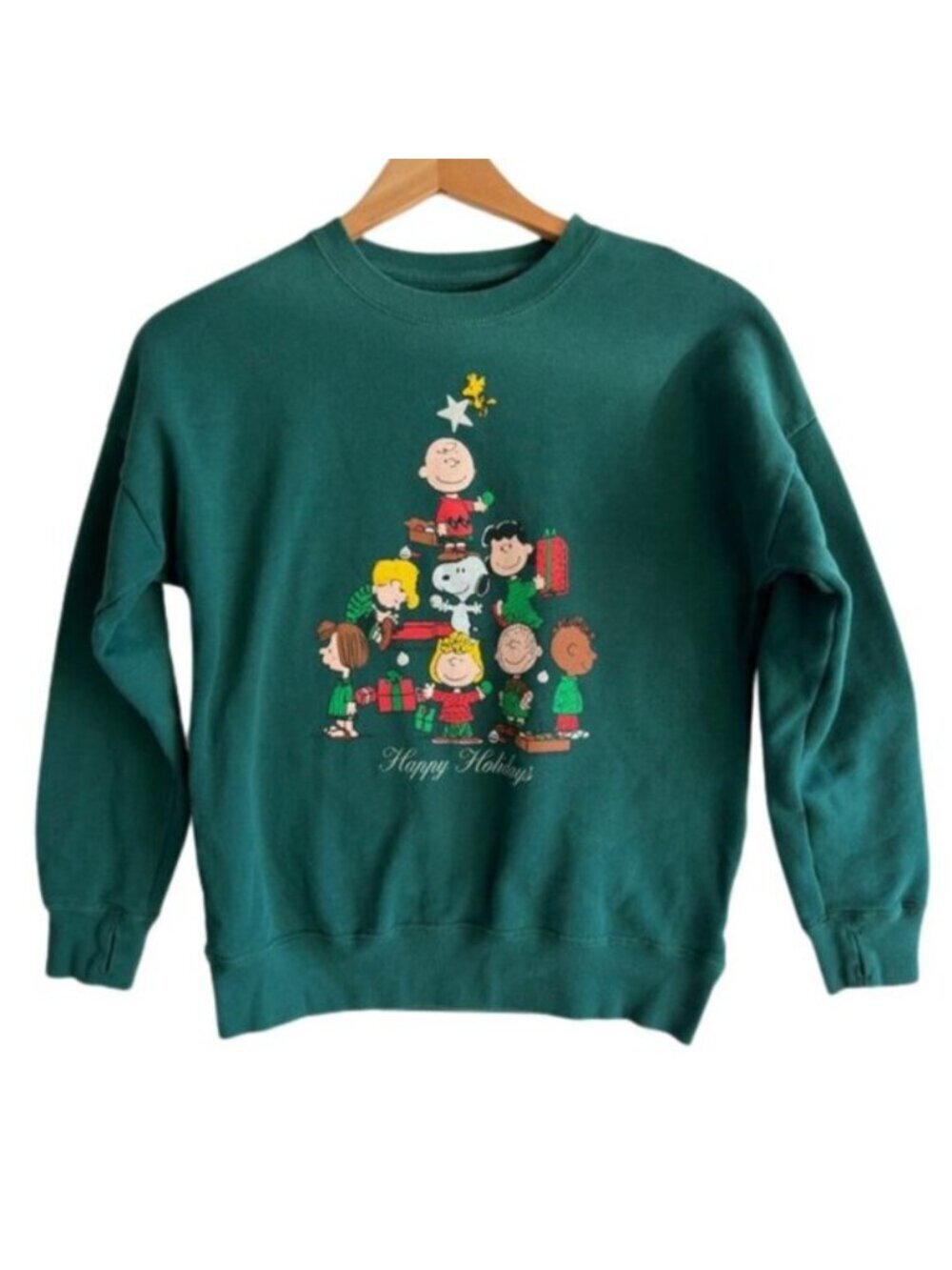 Abercrombie Kids Peanuts Charlie Brown Christmas Sweatshirt Green 11/12 Fleece
